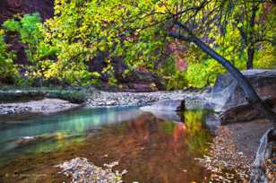 Zion Canyon, Fall-4521